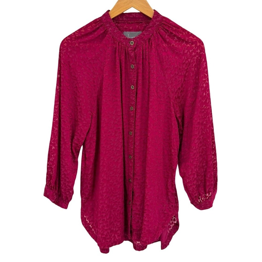 Anthropologie‎ Size Large Long Sleeve Blouse Burnout Velvet Peasant Romantic